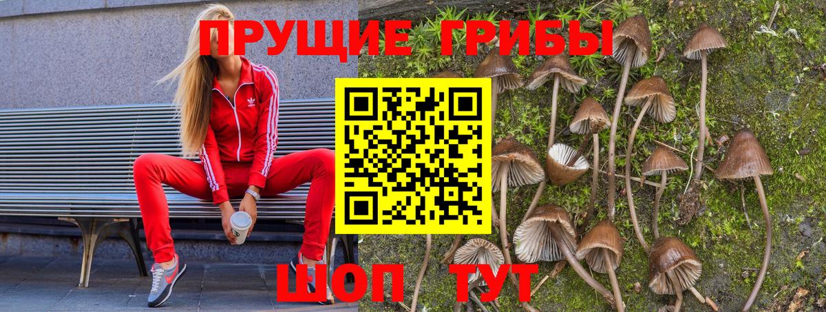 Псилоцибиновые грибы прущие грибы  Псилоцибиновые грибы Psilocybe  Бахчисарай  Вход с VPN 
