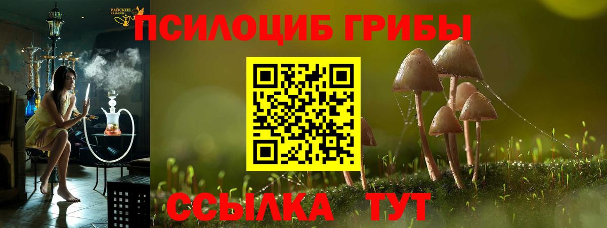 Псилоцибиновые грибы Magic Shrooms Бахчисарай